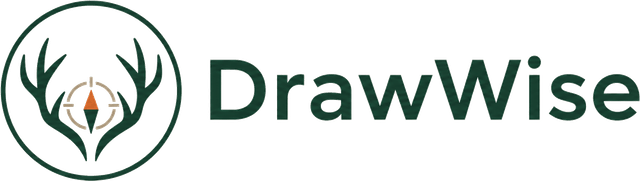 DrawWise
